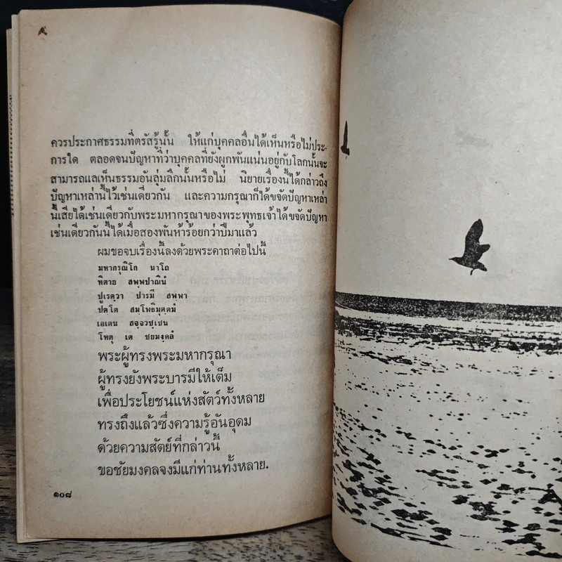 จอนะธัน ลิวิงสตัน นางนวล - ริชาร์ด บาก, ม.ร.ว.คึกฤทธิ์ ปราโมช รูปที่ 12