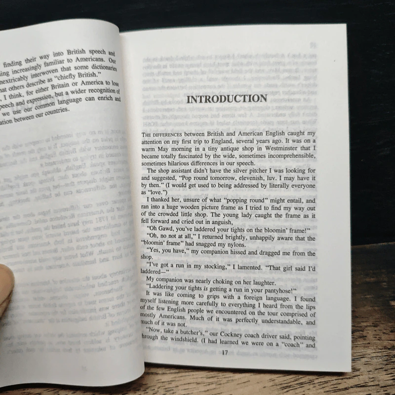 Dictionary of British-American English รูปที่ 8