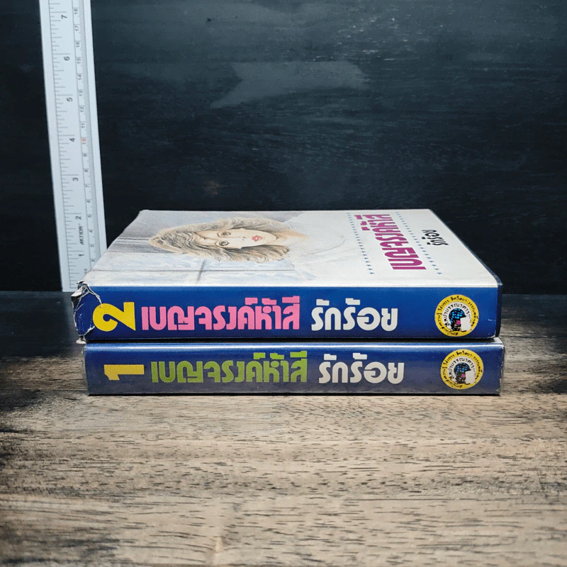 เบญจรงค์ห้าสี 2 เล่มจบ - รักร้อย รูปที่ 3