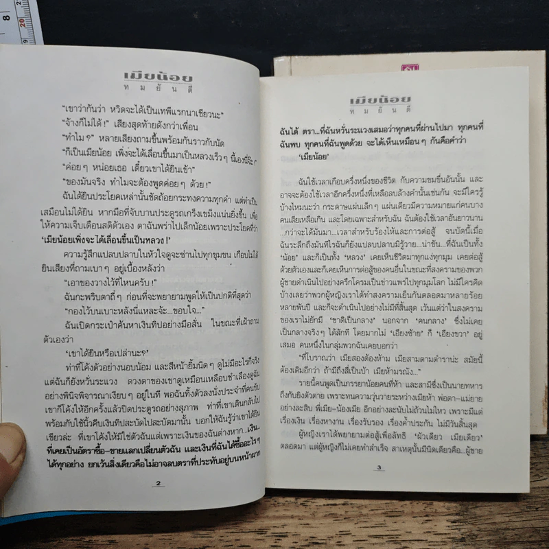 เมียน้อย 2 เล่มจบ - ทมยันตี รูปที่ 8