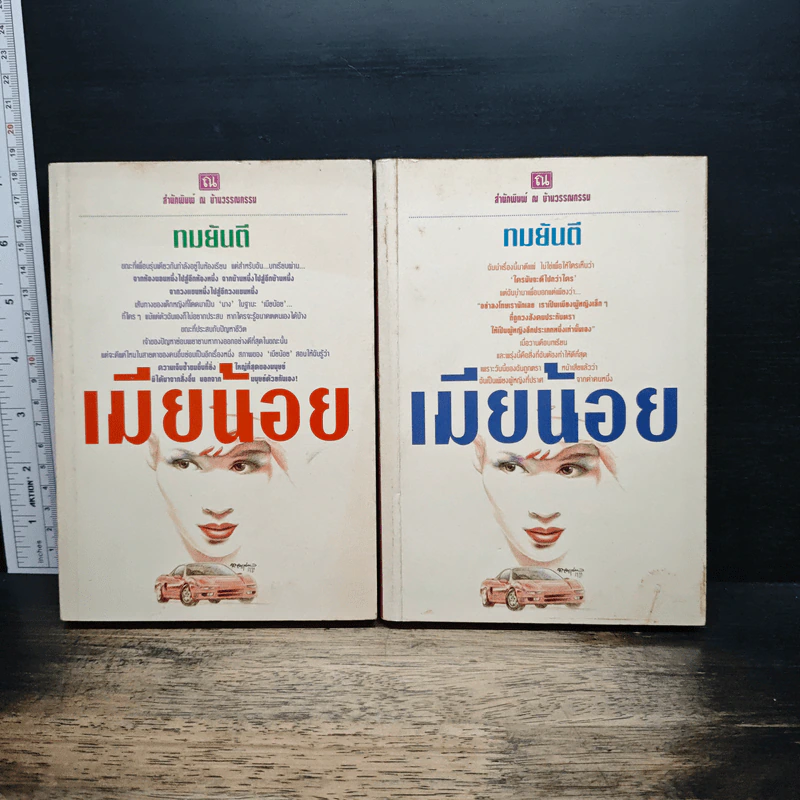 เมียน้อย 2 เล่มจบ - ทมยันตี รูปที่ 1