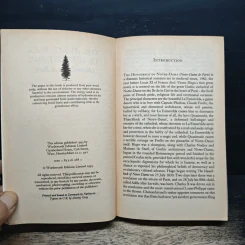 The Hunchback of Notre Dame - Victor Hugo รูปที่ 6