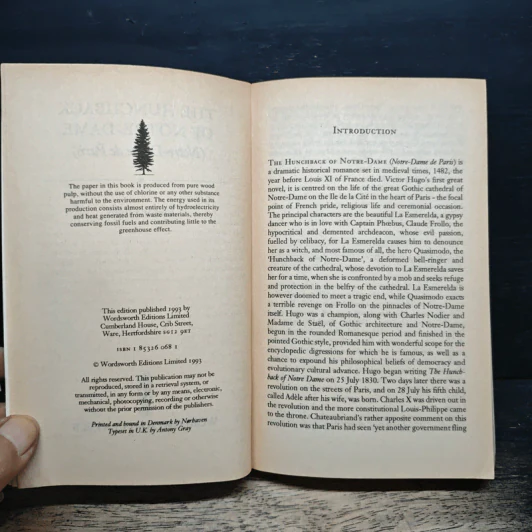 The Hunchback of Notre Dame - Victor Hugo รูปที่ 6