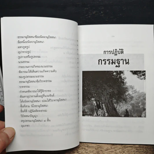 การปฏิบัติกรรมฐาน - สมเด็จพระญาณสังวร สมเด็จพระสังฆราช สกลมหาสังฆปริณายก รูปที่ 9