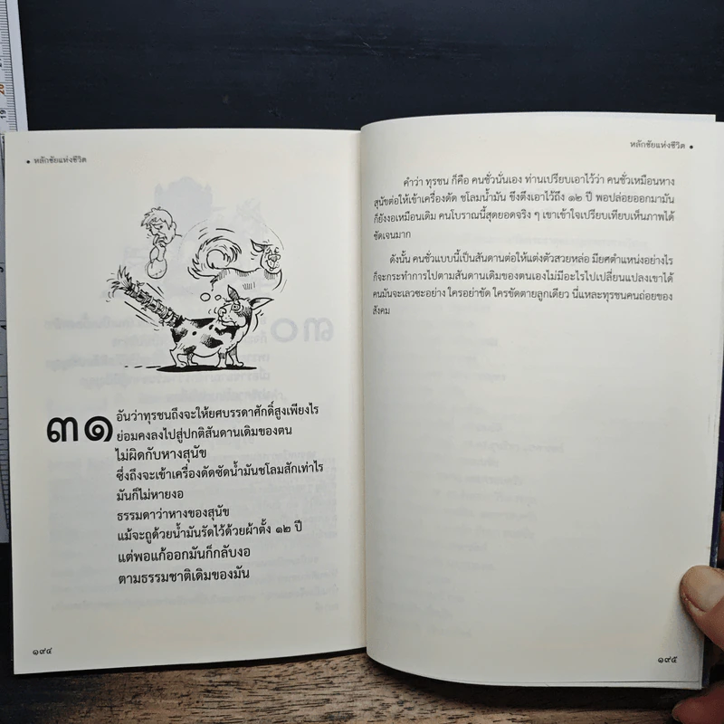 หลักชัยแห่งชีวิต รูปที่ 9