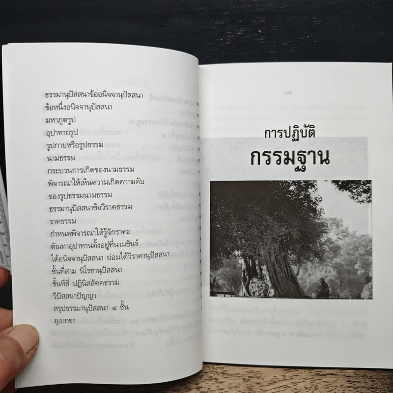 การปฏิบัติกรรมฐาน - สมเด็จพระญาณสังวร สมเด็จพระสังฆราช สกลมหาสังฆปริณายก รูปที่ 9