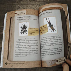 Bugs Bugs ศึกเวทมนตร์โรงเรียนแมลง เล่ม 6 รูปที่ 8