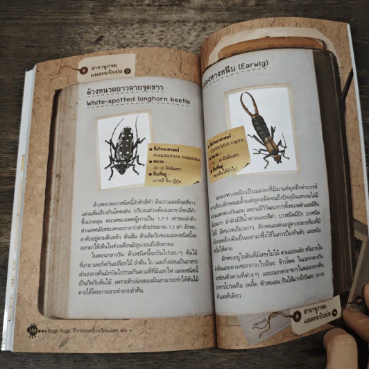 Bugs Bugs ศึกเวทมนตร์โรงเรียนแมลง เล่ม 6 รูปที่ 8