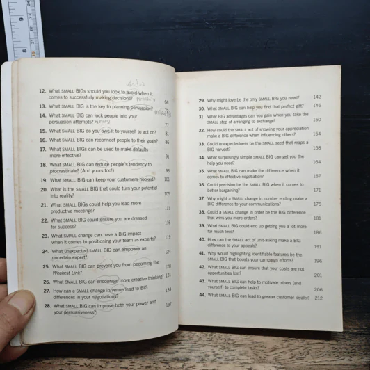 The Small BIG - Noah Goldstein, Steve Martin รูปที่ 8