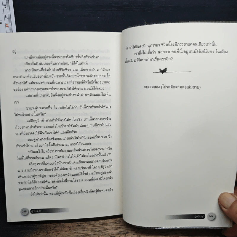 ฮูหยินบุก เล่ม 2 - หนู่หวางปู่ไจ้เจี่ย, ห้องสมุด รูปที่ 8