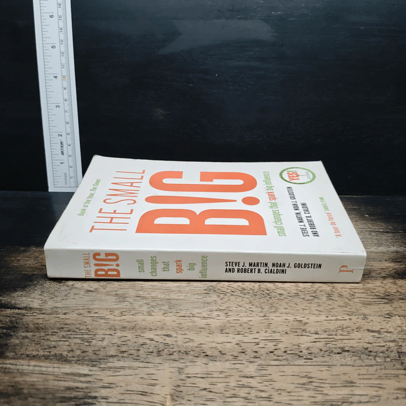 The Small BIG - Noah Goldstein, Steve Martin รูปที่ 3