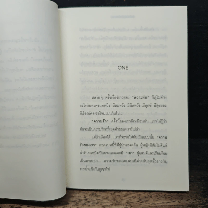 ผู้หญิงโชคร้ายกับผู้ชายสารเลว - ใบบัว รูปที่ 6