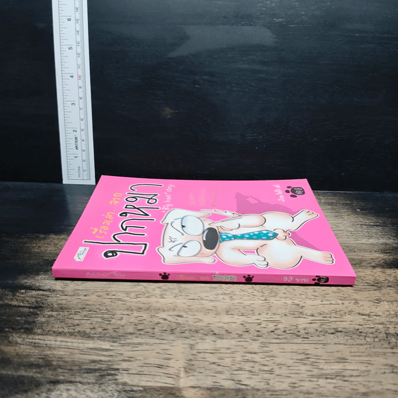เรื่องเล่าจากปากหมา No.9 - Big bank รูปที่ 3