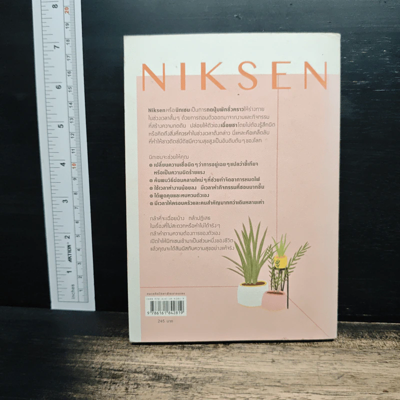 NIKSEN ศิลปะของการไม่ทำอะไรเลย - ลาฟไรห์เซน, แอนเนท รูปที่ 2