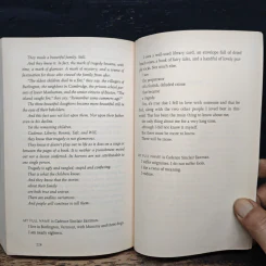 We Were Liars - E. Lockhart รูปที่ 9