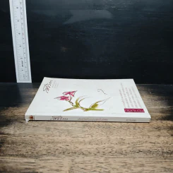 สาวิกา ปีที่ 9 ฉบับที่ 81 เพื่อชีวิตที่งดงามและเป็นอิสระ ความสุข รูปที่ 3