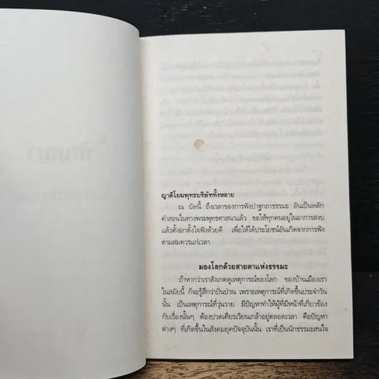ปัญญา: ธรรมะเพื่อความก้าวหน้า - ปัญญานันทภิกขุ รูปที่ 8