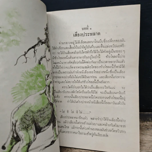 พลายจำปา รูปที่ 8