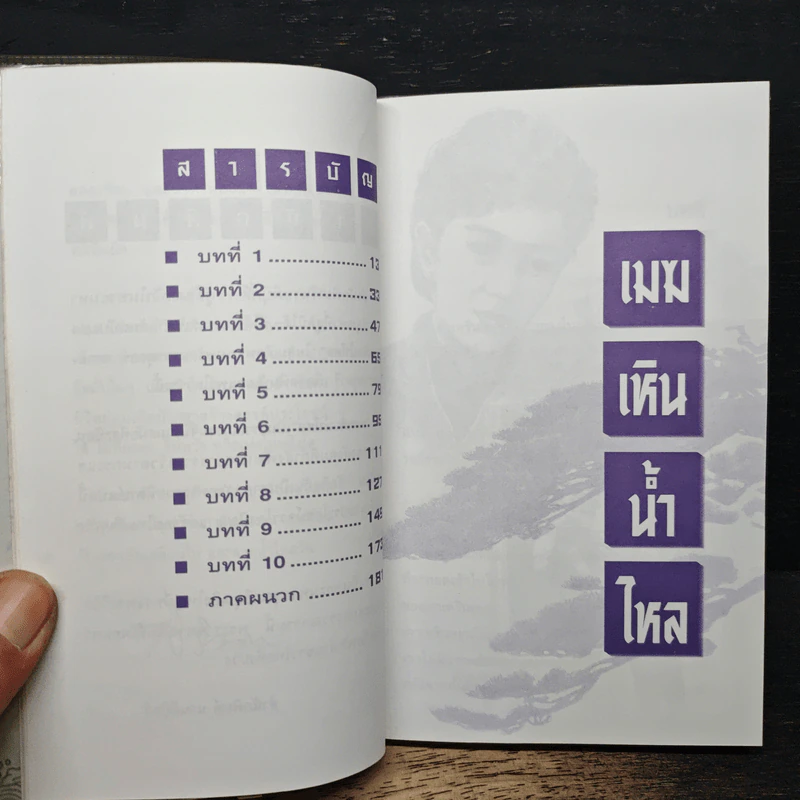 เมฆเหิน น้ำไหล - สมเด็จพระเทพรัตนราชสุดาฯ รูปที่ 7