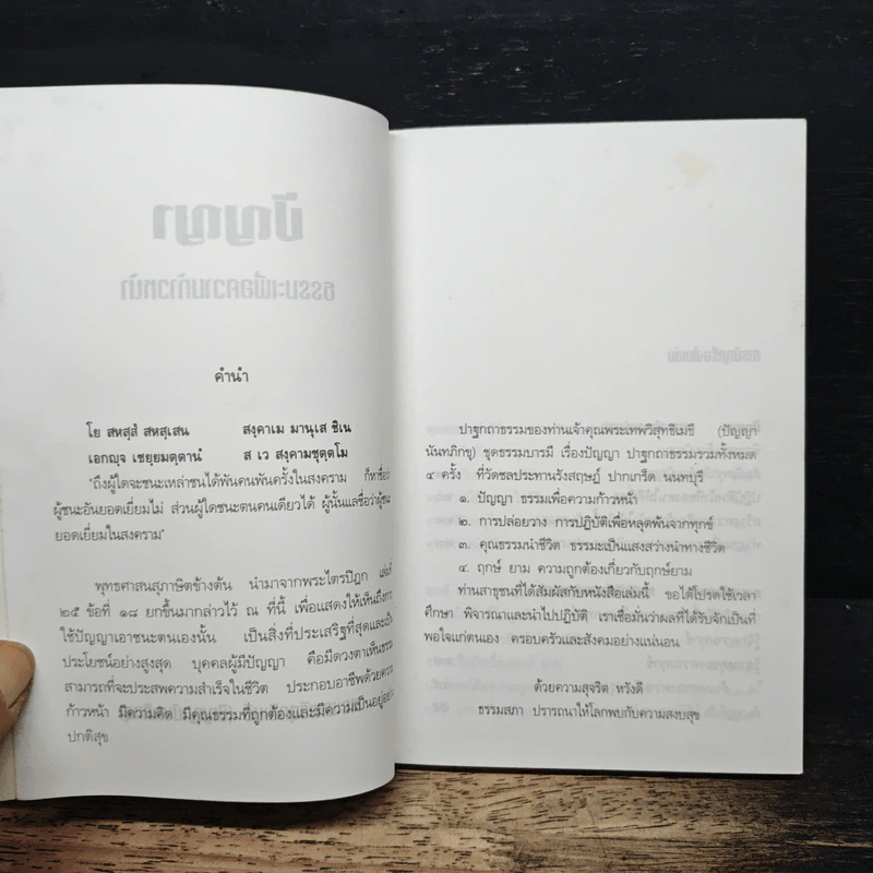 ปัญญา: ธรรมะเพื่อความก้าวหน้า - ปัญญานันทภิกขุ รูปที่ 6