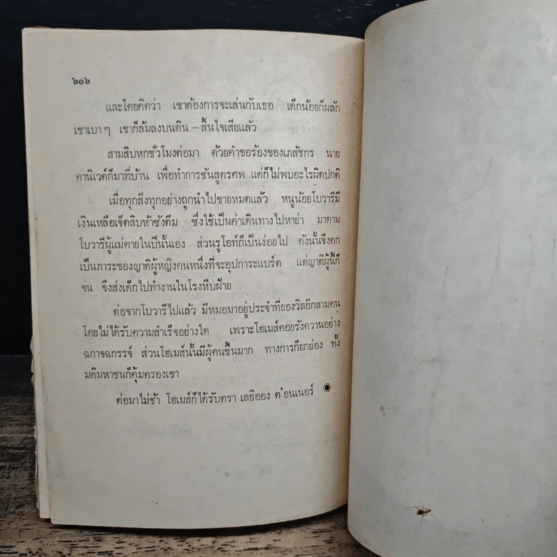 มาดามโบวารี - กืสตาฟ โฟลแบร์ต์, วิทย์ ศิวะศริยานนท์ รูปที่ 8