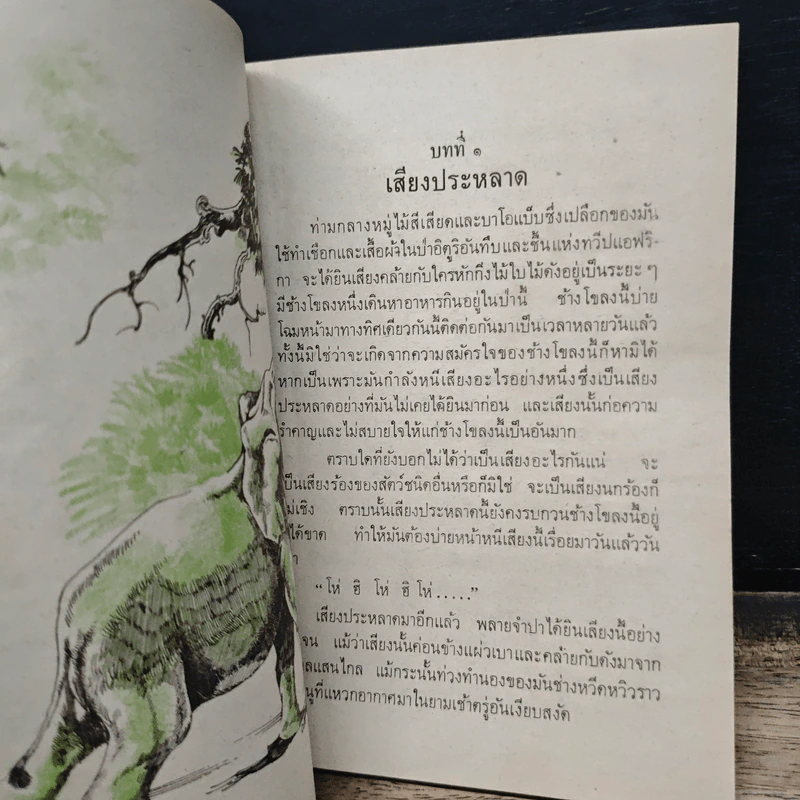 พลายจำปา รูปที่ 8