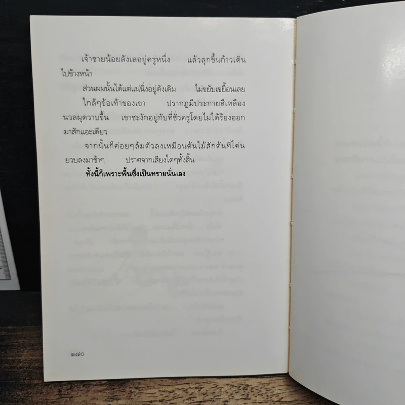 เจ้าชายน้อย - พงาพันธุ์ รูปที่ 9