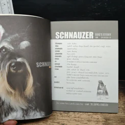 Schnauzer ผู้พิทักษ์ที่มีความกล้าหาญ รักบ้านและจ้าของเป็นที่หนึ่ง - นวมินทร์ รูปที่ 6