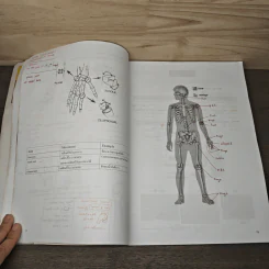 Basic Biology (OPD) Human Body Part II - นพ.พิชญ์ สันติจิตรุ่งเรือง รูปที่ 8