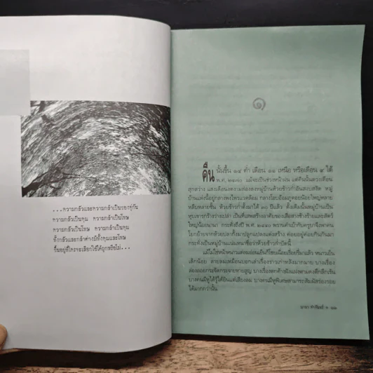 ไพรอำพราง - มาลา คำจันทร์ รูปที่ 7