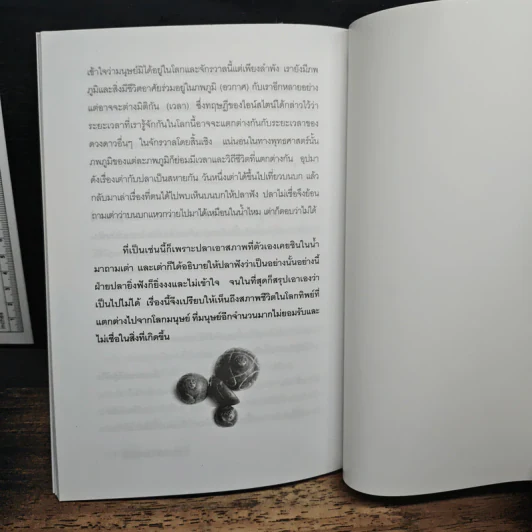 ประตูสู่ลับแลนคร - สมัย สุทธิธรรม รูปที่ 9