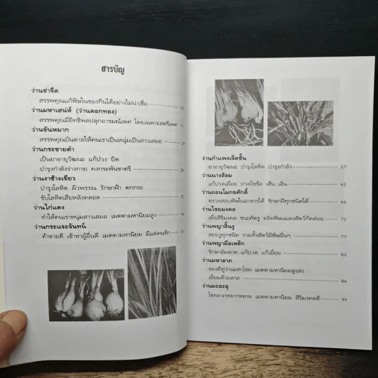 "ว่าน" อายุวัฒนะ เมตตามหานิยม - กาณุทรรศน์ รูปที่ 7