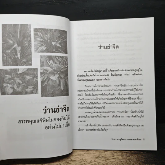 "ว่าน" อายุวัฒนะ เมตตามหานิยม - กาณุทรรศน์ รูปที่ 8