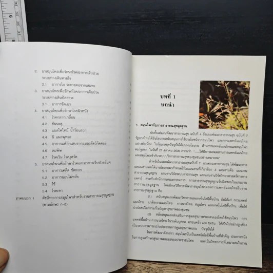 ยาสมุนไพร สำหรับงานสาธารณสุขมูลฐาน รูปที่ 8