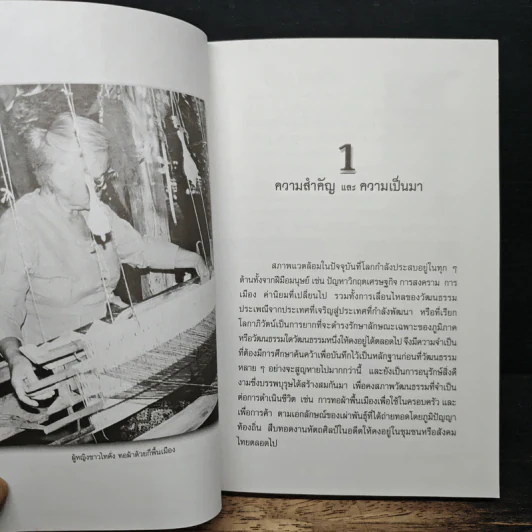 ผ้าไทคั่ง ไทเวียง - รัชฎา สุขแสงสุวรรณ รูปที่ 8