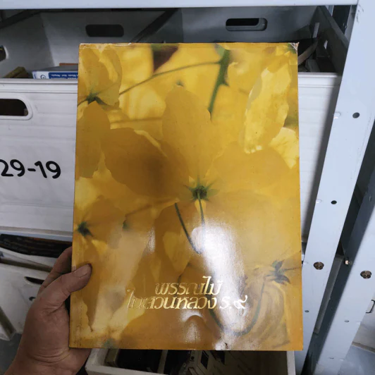 พรรณไม้ในสวนหลวง ร.9 รูปที่ 1