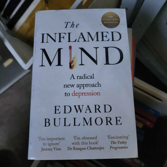 The Inflamed Mind - Edward Bullmore รูปที่ 1