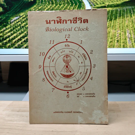 นาฬิกาชีวิต Biological Clock - อ.นวลฉวี ทรรพนันทน์ รูปที่ 1
