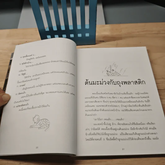 ฟลุ๊ก แมวของตะเง้ว - บุษบา มหัตถพงศ์ รูปที่ 9