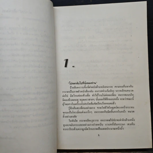 มรกตแดง - เนธิชา รูปที่ 7