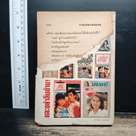 นิยายโรมานซ์ กามเทพกล่อมหอ - จามรี พรรณชมพู รูปที่ 2