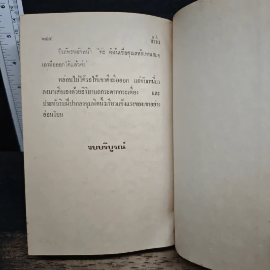 ทะเลนํ้าผึ้ง - วลัย นวาระ รูปที่ 8