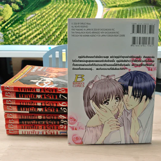 มาเฟียที่รัก 9 เล่มจบ - Shinjo Mayu รูปที่ 2