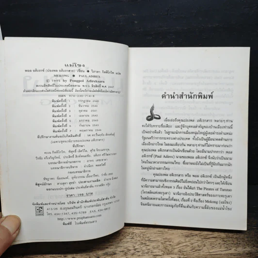 แม่โขง Mekong - ปองพล อดิเรกสาร รูปที่ 6