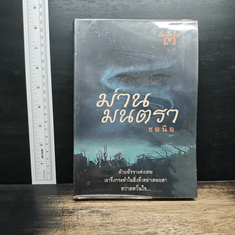 ม่านมนตรา - ชลนิล รูปที่ 1