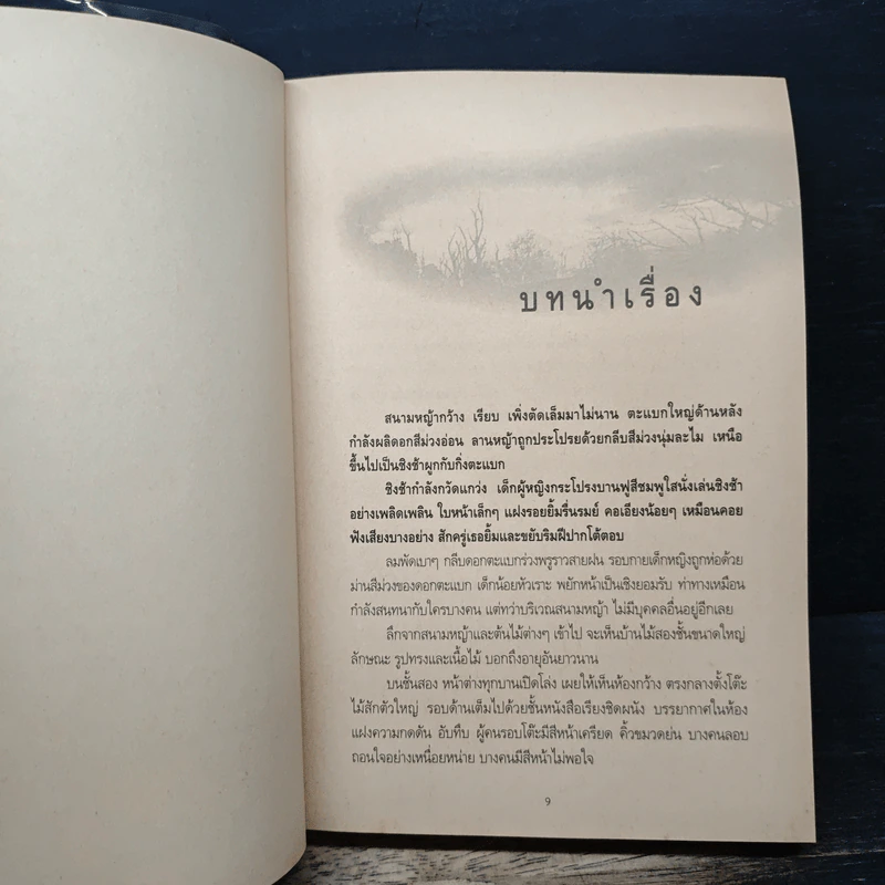 ม่านมนตรา - ชลนิล รูปที่ 7