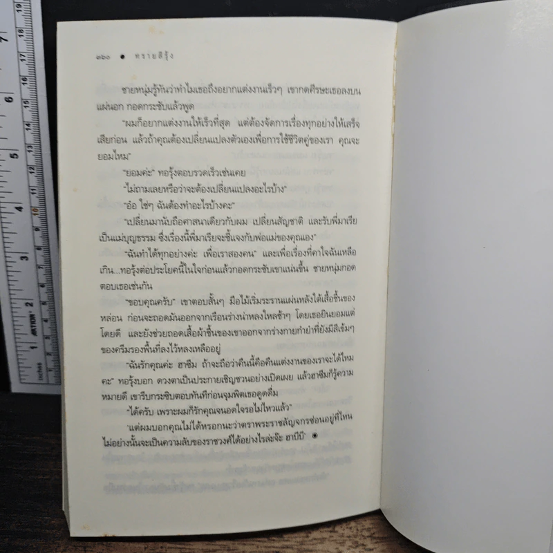 ทรายสีรุ้ง - มุกเรียง รูปที่ 8