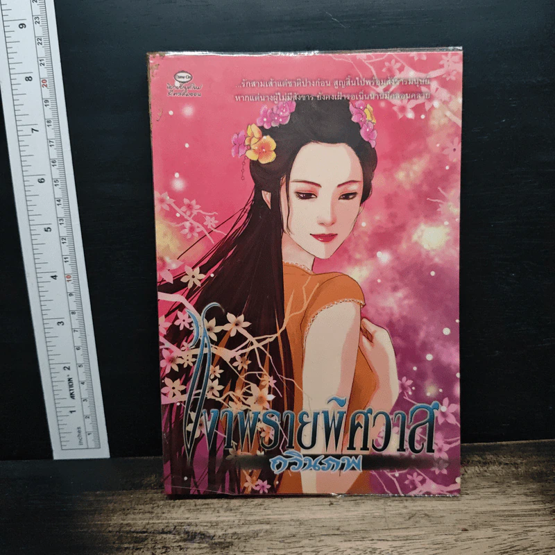 เงาพรายพิศวาส - กวินภพ รูปที่ 1
