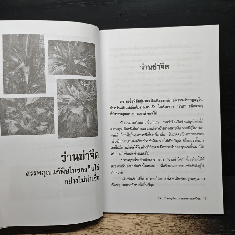 "ว่าน" อายุวัฒนะ เมตตามหานิยม - กาณุทรรศน์ รูปที่ 8
