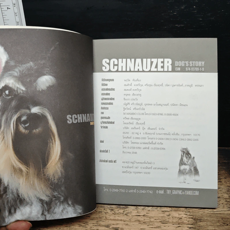 Schnauzer ผู้พิทักษ์ที่มีความกล้าหาญ รักบ้านและจ้าของเป็นที่หนึ่ง - นวมินทร์ รูปที่ 6